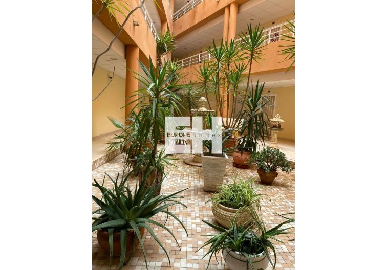 Segunda mano - Apartamento  - San Miguel de Salinas - Pueblo 9