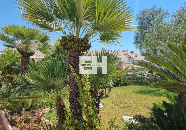 Herverkoop - Appartement - Torrevieja - Los Balcones - Los Altos Del Edén