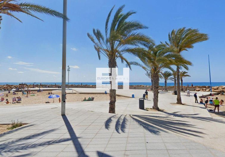 Segunda mano - Apartamento  - Torrevieja - Paseo Maritimo