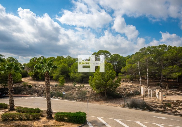 Segunda mano - Apartamento  - Algorfa - Inland