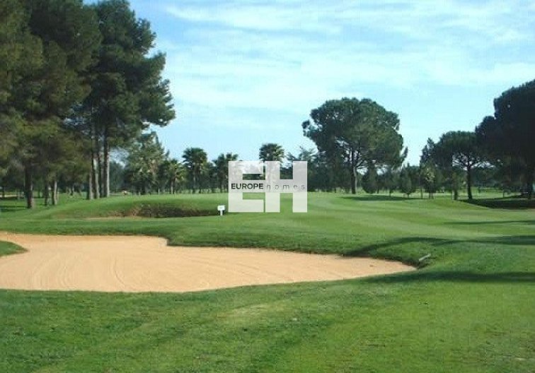 Segunda mano - Apartamento  - Punta Prima - Costa Blanca