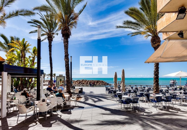 Segunda mano - Apartamento  - Torrevieja - Playa del Cura