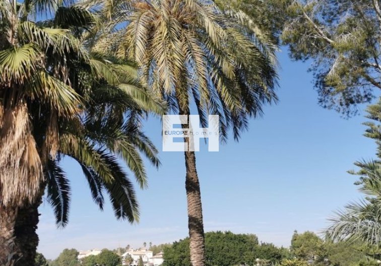 Herverkoop - Appartement - Orihuela Costa - Costa Blanca