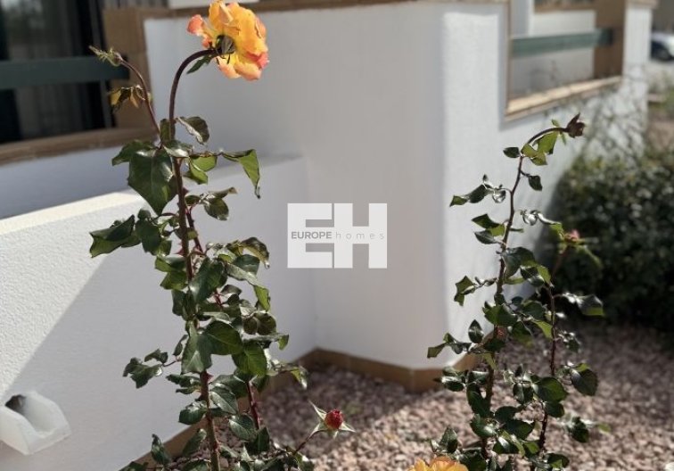 Revente - Appartement - Orihuela Costa - Costa Blanca