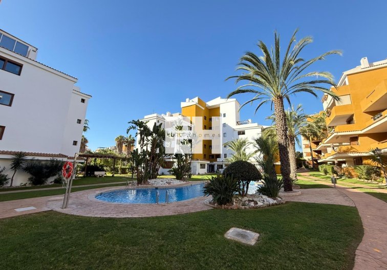 Segunda mano - Apartamento  - Torrevieja - Punta Prima
