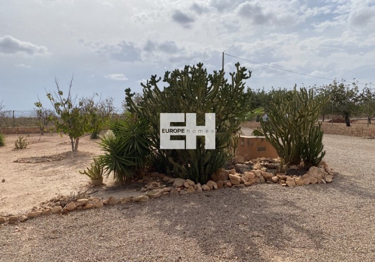 Segunda mano - town house - Fuente Álamo - Inland