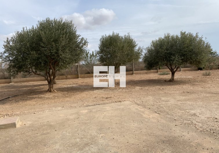 Segunda mano - town house - Fuente Álamo - Inland