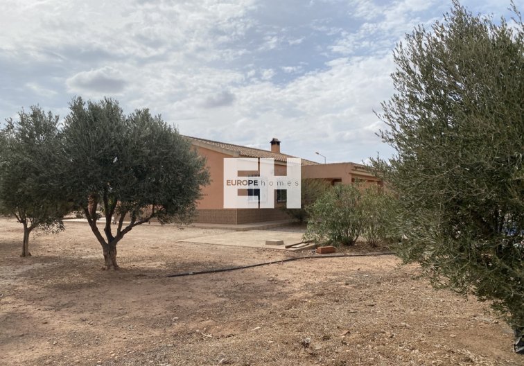 Segunda mano - town house - Fuente Álamo - Inland