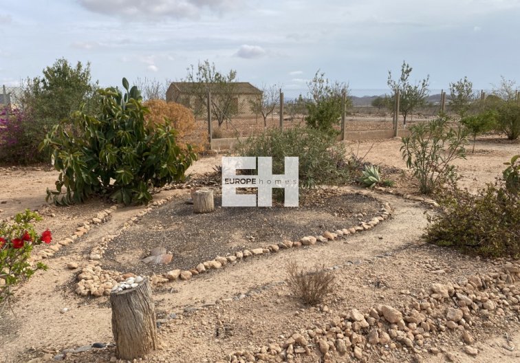 Segunda mano - town house - Fuente Álamo - Inland