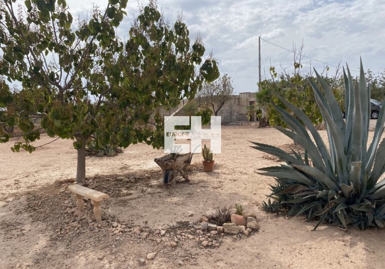 Segunda mano - town house - Fuente Álamo - Inland