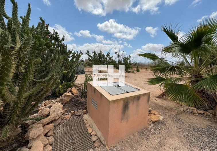 Segunda mano - town house - Fuente Álamo - Inland