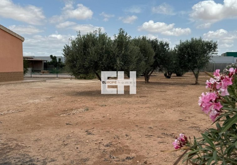 Segunda mano - town house - Fuente Álamo - Inland