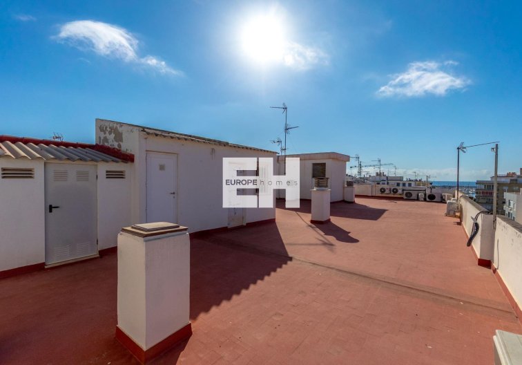 Segunda mano - Apartamento  - Torrevieja