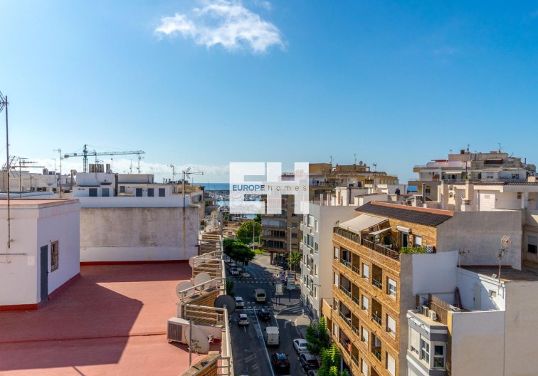 Segunda mano - Apartamento  - Torrevieja