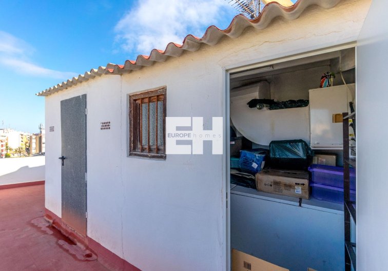 Segunda mano - Apartamento  - Torrevieja