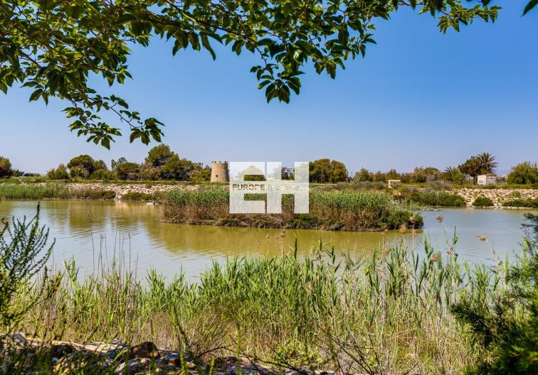 Segunda mano - villa - San Fulgencio - La Marina