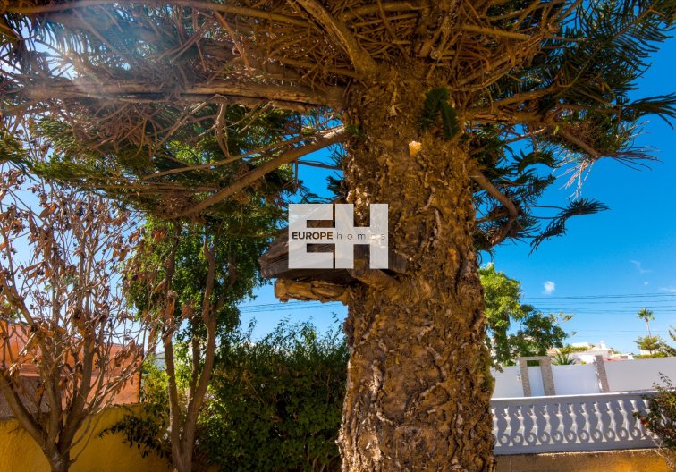 Herverkoop - villa - La Siesta - Costa Blanca