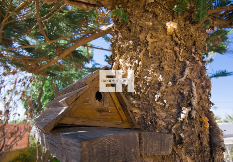 Herverkoop - villa - La Siesta - Costa Blanca