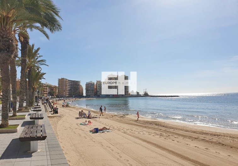Revente - Appartement - Torrevieja - Estacion De Autobuses