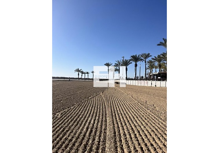 Revente - Appartement - Torrevieja - Estacion De Autobuses