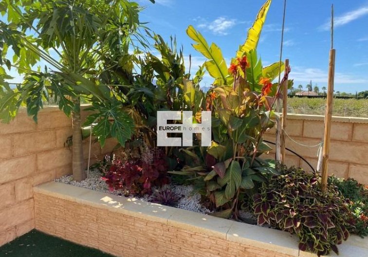 Revente - villa - Albatera - Campo De Albatera