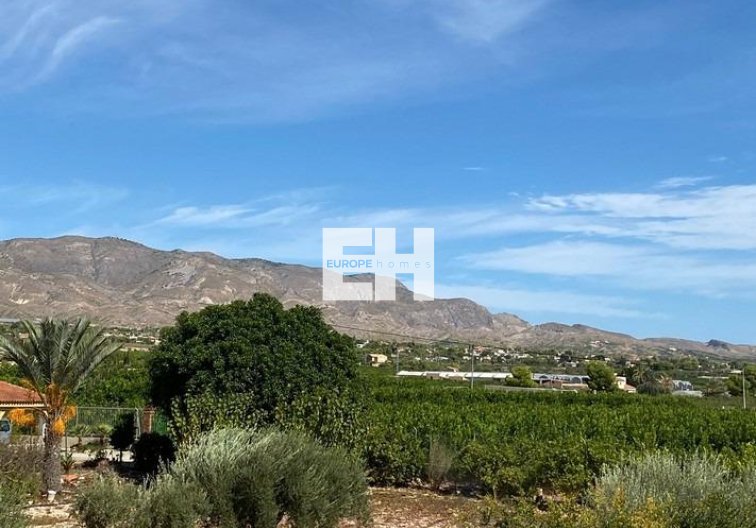 Revente - villa - Albatera - Campo De Albatera