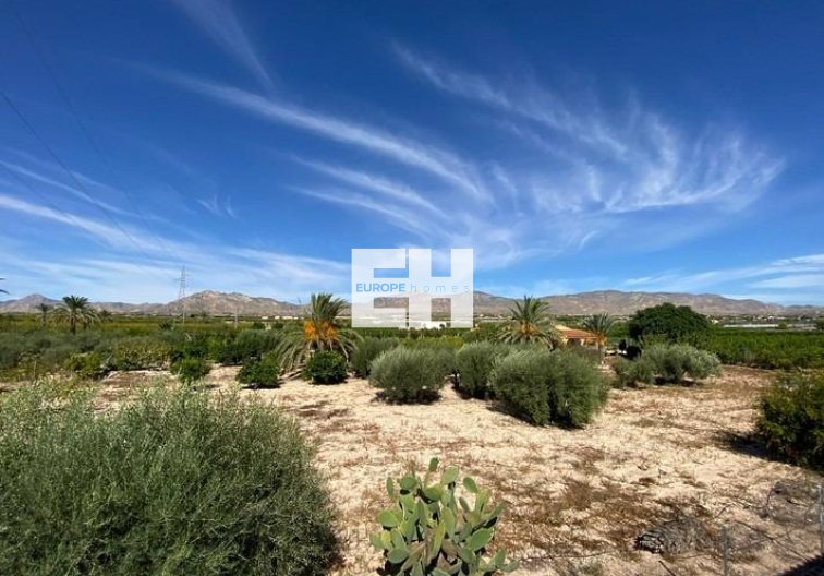 Revente - villa - Albatera - Campo De Albatera