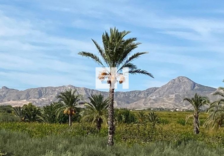 Revente - villa - Albatera - Campo De Albatera