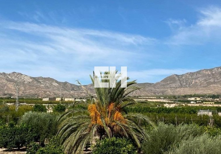 Revente - villa - Albatera - Campo De Albatera