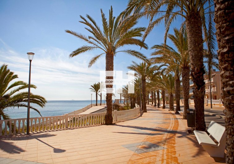 Resale - Apartment - Pilar de la Horadada - Torre de la Horadada