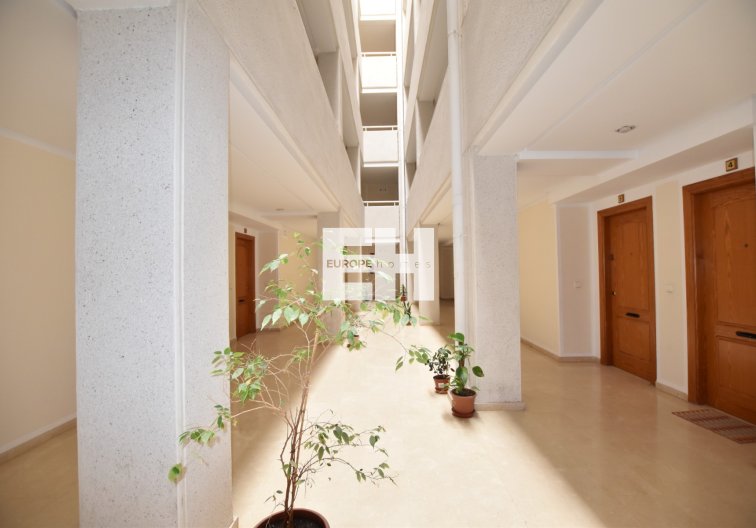 Segunda mano - Apartamento  - La Mata - Costa Blanca