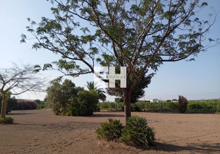 Segunda mano - villa - Daya Nueva - Costa Blanca