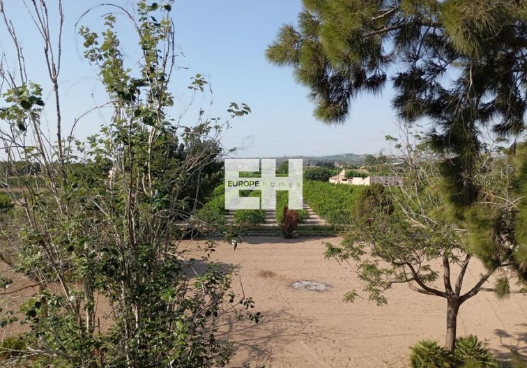 Segunda mano - villa - Daya Nueva - Costa Blanca