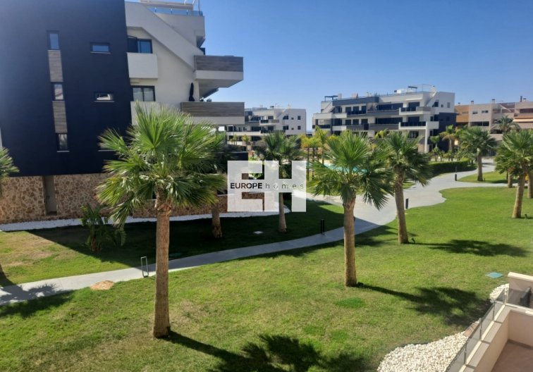 Segunda mano - Apartamento  - Playa Flamenca - Costa Blanca