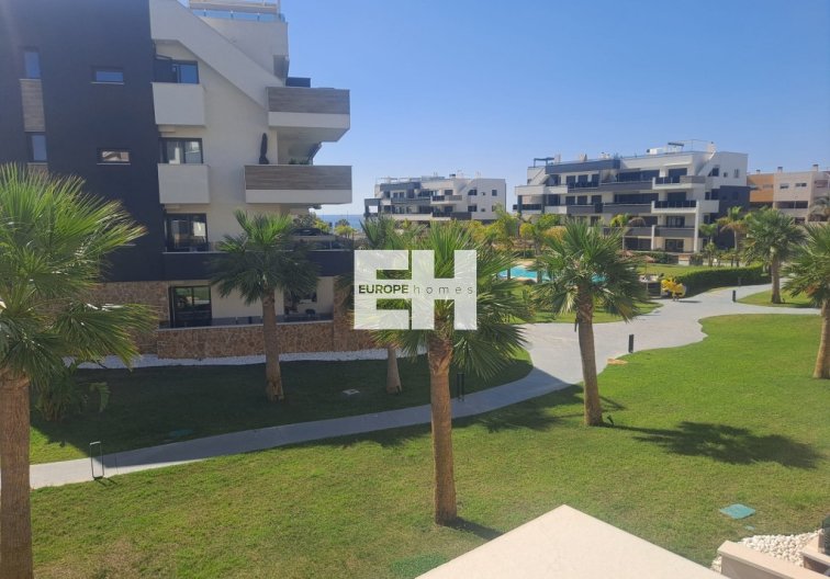 Segunda mano - Apartamento  - Playa Flamenca - Costa Blanca