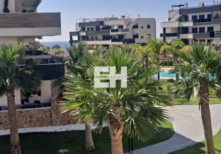 Segunda mano - Apartamento  - Playa Flamenca - Costa Blanca