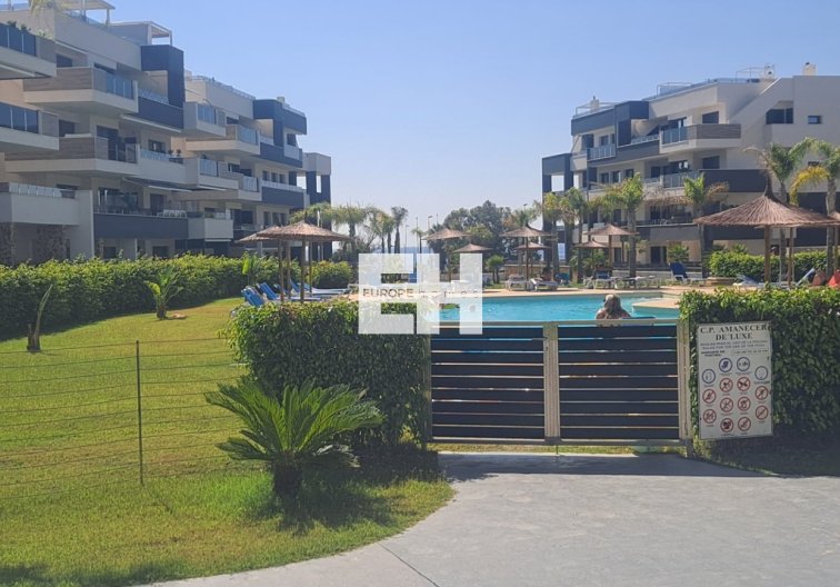 Segunda mano - Apartamento  - Playa Flamenca - Costa Blanca