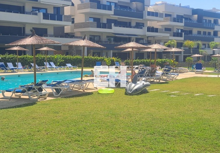 Segunda mano - Apartamento  - Playa Flamenca - Costa Blanca