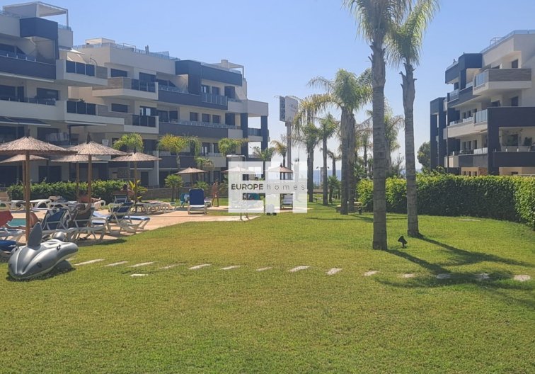 Segunda mano - Apartamento  - Playa Flamenca - Costa Blanca