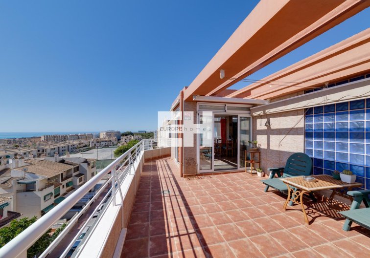 Segunda mano - Apartamento  - Guardamar del Segura - Costa Blanca