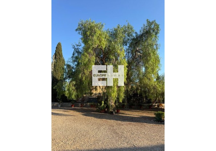 Segunda mano - villa - Albatera - Partida Lomas