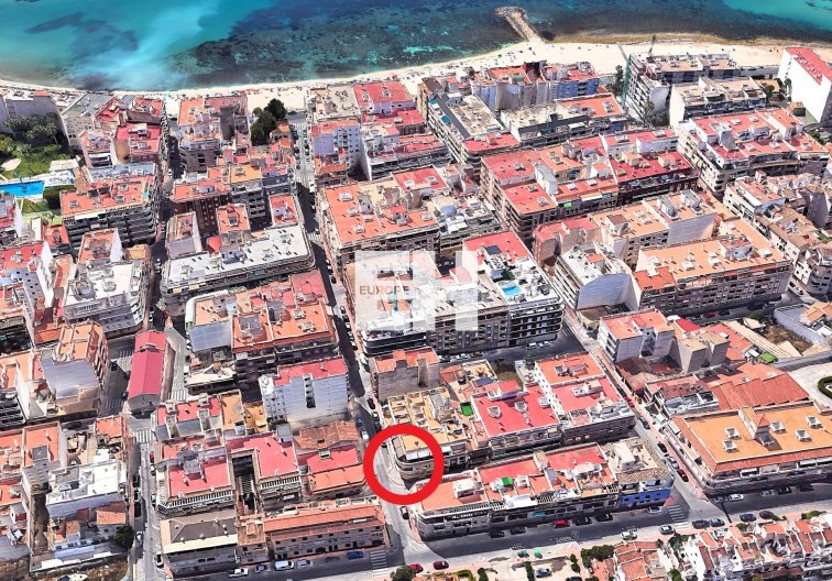 Segunda mano - Apartamento  - Torrevieja - Playa de los Locos