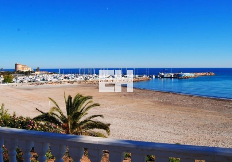 Construction Neuve - Semidetached - Pilar de la Horadada