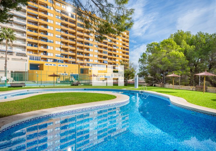 Herverkoop - Appartement - Orihuela Costa - Costa Blanca