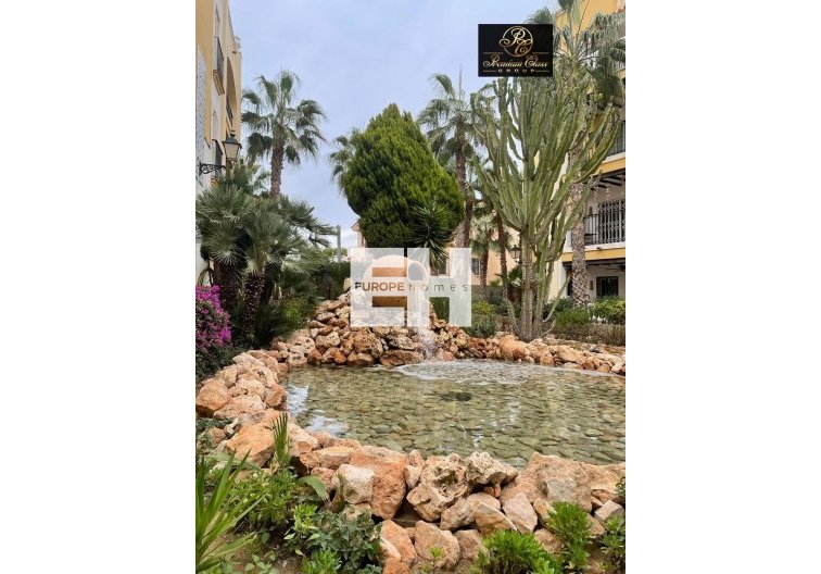 Segunda mano - Atico - Torrevieja - Los Frutales