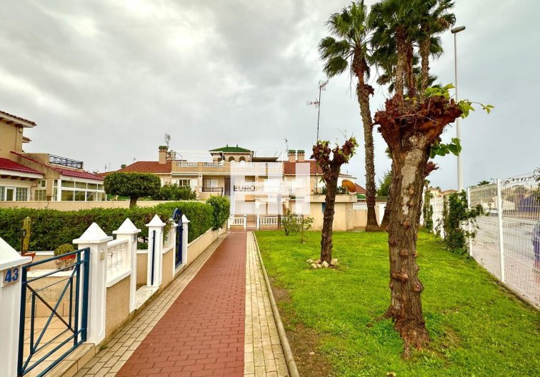 Segunda mano - Bungalow - Orihuela Costa - Playa Flamenca Norte