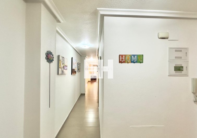 Segunda mano - Apartamento  - Torrevieja