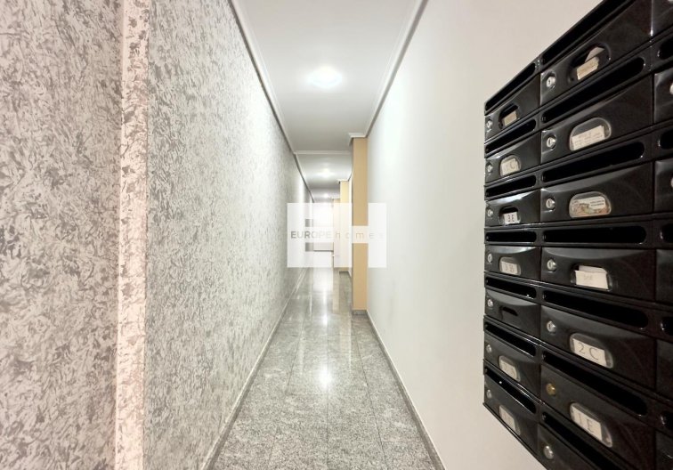 Segunda mano - Apartamento  - Torrevieja