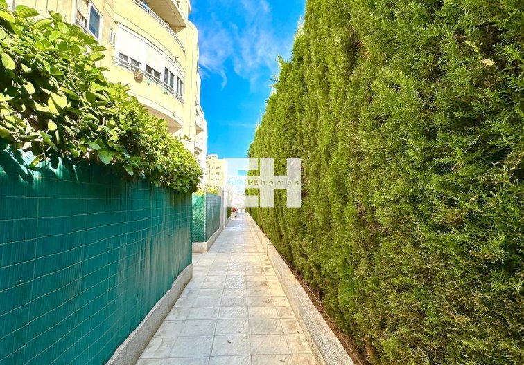 Segunda mano - Apartamento  - Torrevieja - Playa del Cura