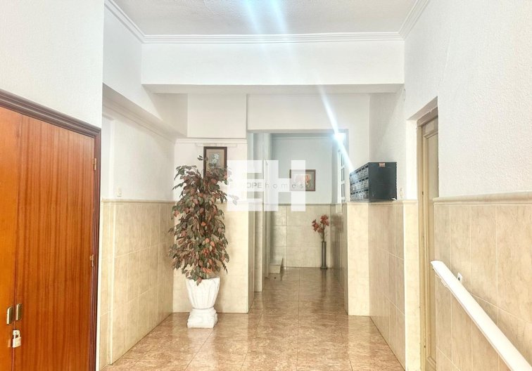 Segunda mano - Apartamento  - Torrevieja - Estacion De Autobuses